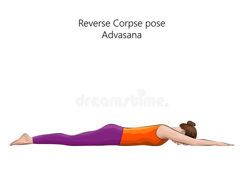 Yoga Poses: Bow, Cow, and Bridge