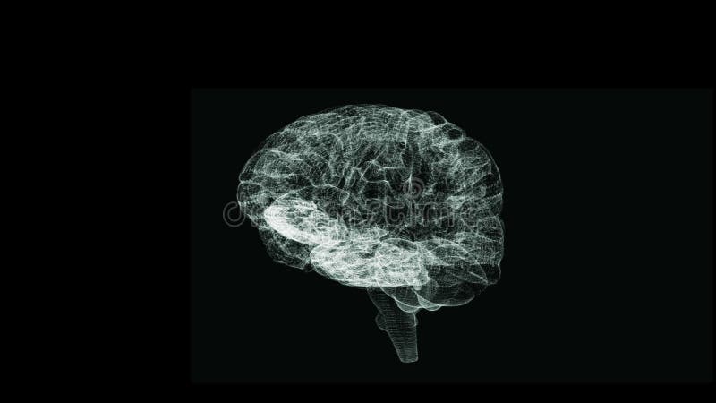 Revolving transparent human brain graphic