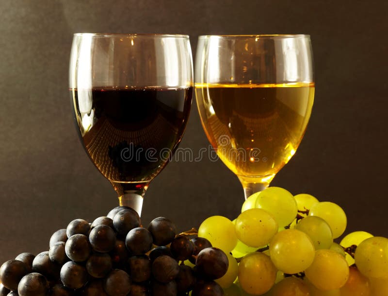 Rewolucjonistka i Biel obrazy royalty free Rewolucjonistka i Biel obrazy royalty free
