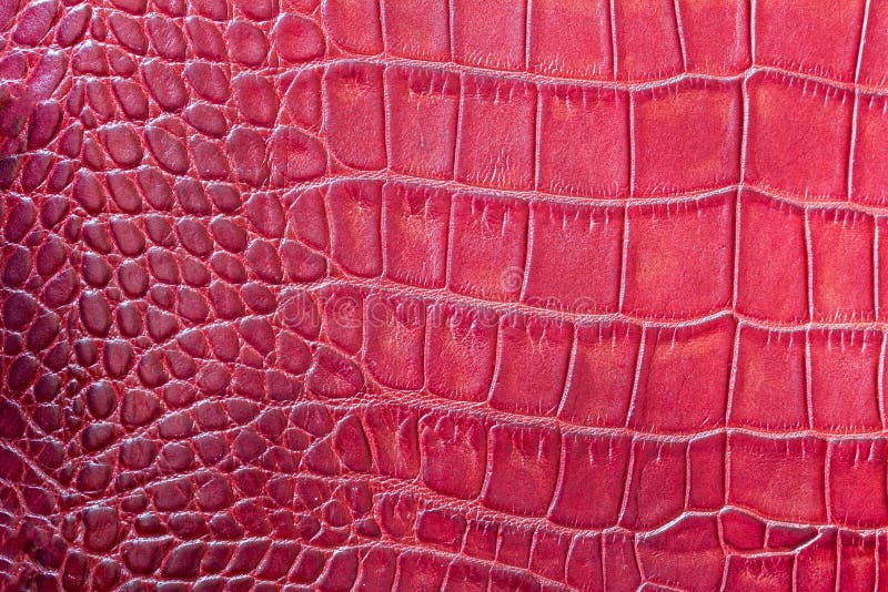 Rewolucjonistka waży makro- egzotycznego tło, embossed pod skórą gad, krokodyl Tekstury prawdziwej skóry zakończenie obraz stock Rewolucjonistka waży makro- egzotycznego tło, embossed pod skórą gad, krokodyl Tekstury prawdziwej skóry zakończenie obraz stock