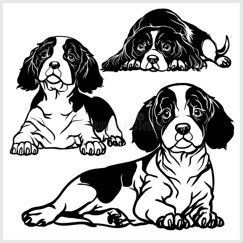 Rey arrogante Charles Spaniel - ejemplo aislado sistema del vector en el fondo blanco stock de ilustración