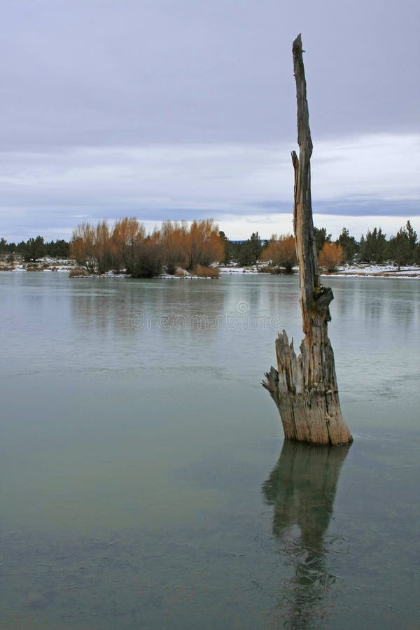 Reynolds Pond in Winter stock photo Image of scenery 12736680 Reynolds Pond in Winter stock photo Image of scenery 12736680