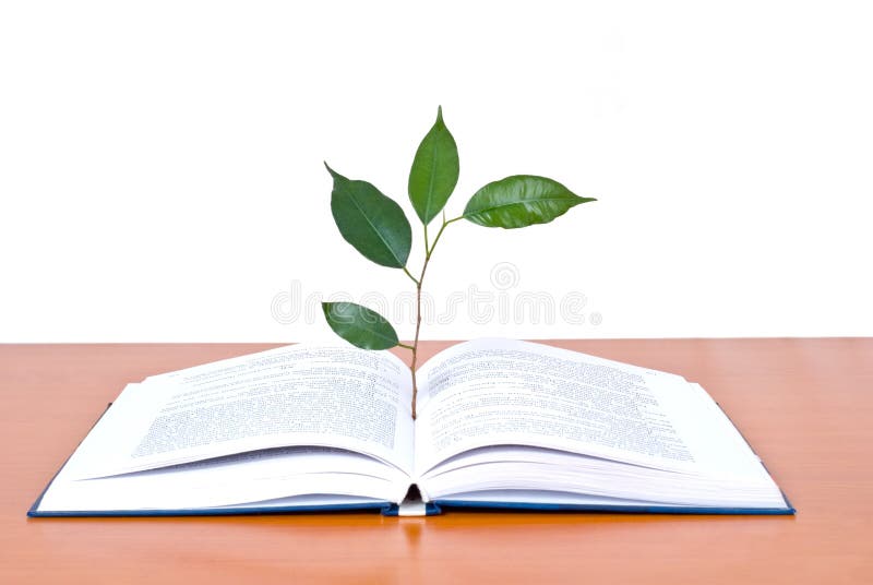 Books and tree isolated on white background. Books and tree isolated on white background