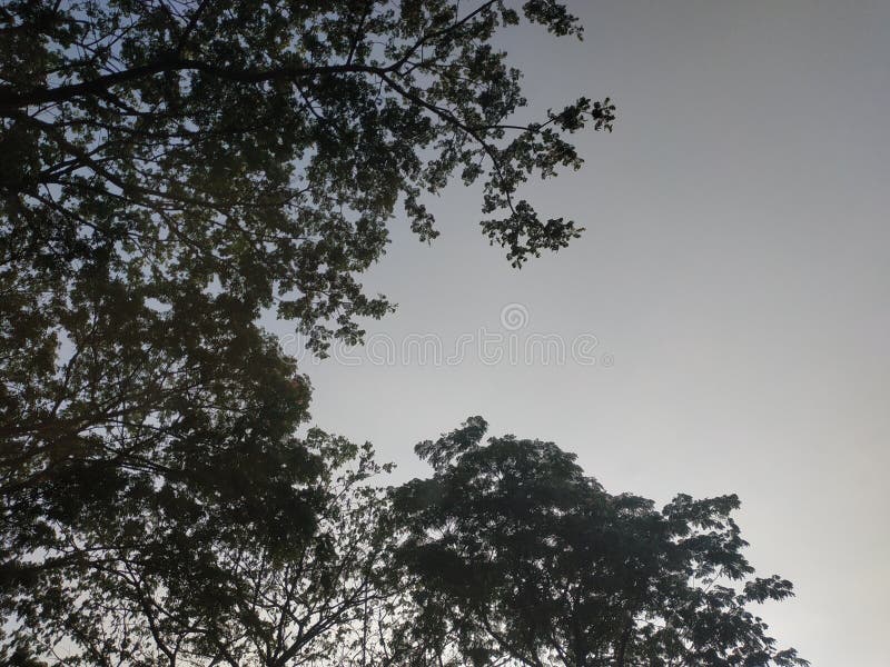 rezydencja królewska surabaya East java Indonezja pusta droga asfaltowa fotografia stock rezydencja królewska surabaya East java Indonezja pusta droga asfaltowa fotografia stock