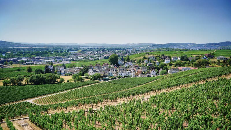 View of the pretty vineyards sloping away from the landmark Castle, Schloss Johannisberg Estate Winery with tiny quaint hamlet in the mid ground and the town of Giesenheim, near Rudesheim on the banks of the Rhine River in Germany. View of the pretty vineyards sloping away from the landmark Castle, Schloss Johannisberg Estate Winery with tiny quaint hamlet in the mid ground and the town of Giesenheim, near Rudesheim on the banks of the Rhine River in Germany.