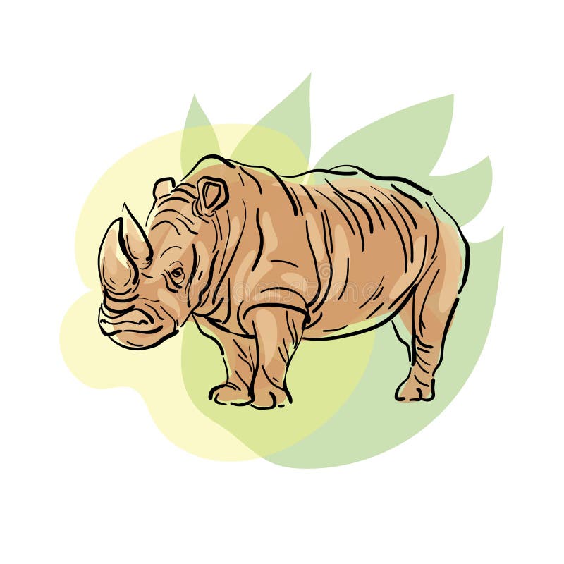 Rhino Contour Drawing. Wild African Animal, Color Vector. Isolated on White. Stock Vector - Illustration of mammal, wildlife: 222412784 Rhino Contour Drawing. Wild African Animal, Color Vector. Isolated on White. Stock Vector - Illustration of mammal, wildlife: 222412784