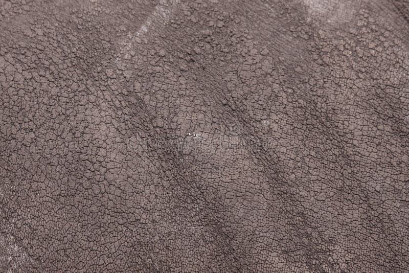 Rhino Rough Animal Skin Texture Stock Photo - Image of pattern, skin:  90635580