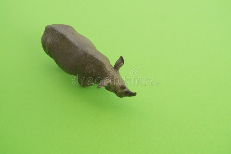 An Animal is a Children`s Toy. Stock Photo - Image of farm, plastic