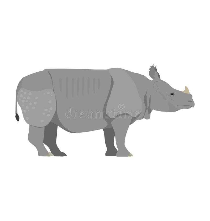 Rhinoceros Sondaicus Javan Rhinocers Vista Plano Vetor Ilustração do