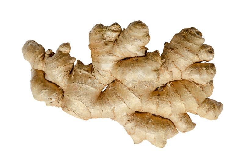Rhizome de racine de gingembre frais de dessus isolé sur fond blanc image stock