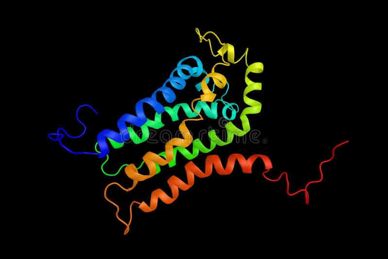 Rho guanine nucleotide exchange factor 7, which plays a fundamental role in numerous cellular processes that are initiated by ext