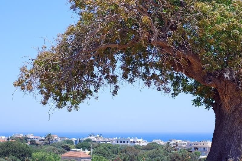 Rhodes island landscape