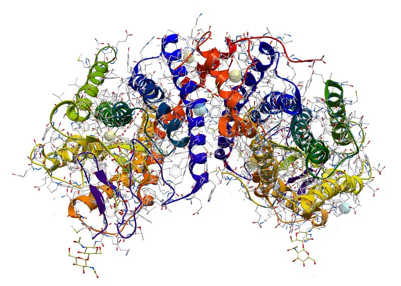 Rhodopsin proteinowa struktura