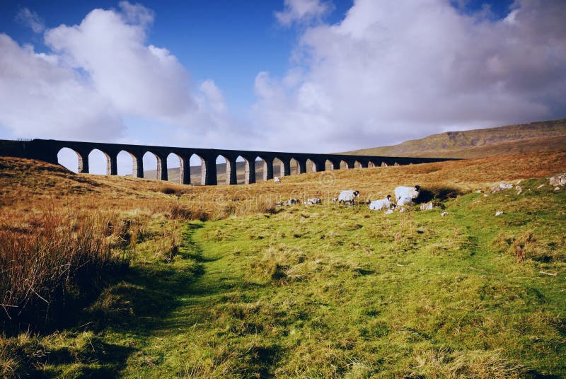 Ribblehead Railway Bridge