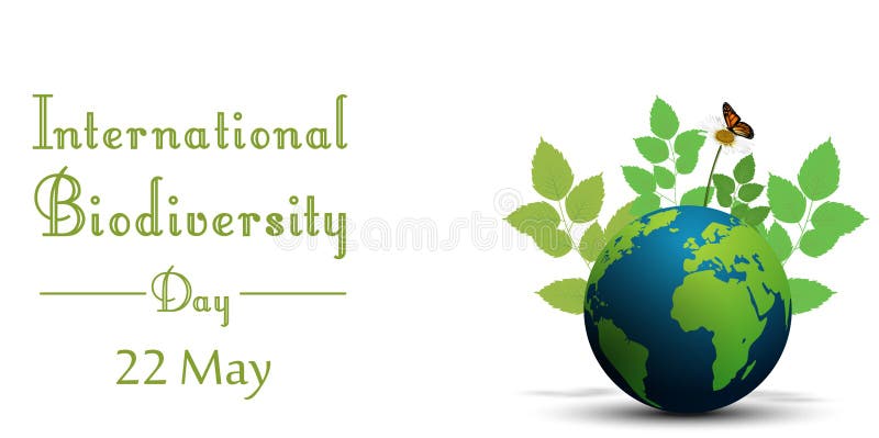 Ribbon shape with leaves and butterflies on earth for international biodiversity day royalty free illustration Ribbon shape with leaves and butterflies on earth for international biodiversity day royalty free illustration