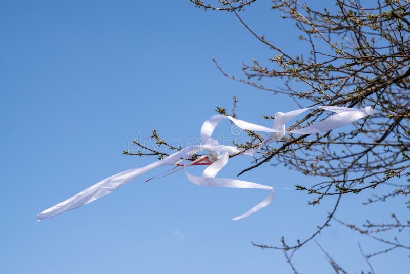 Ribbons on the tree in strong wind.