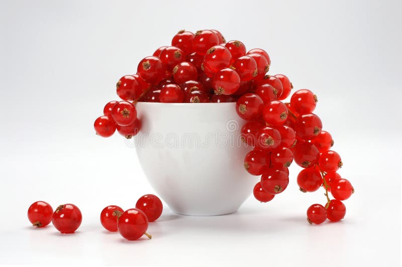 Ribes immagini stock Ribes immagini stock
