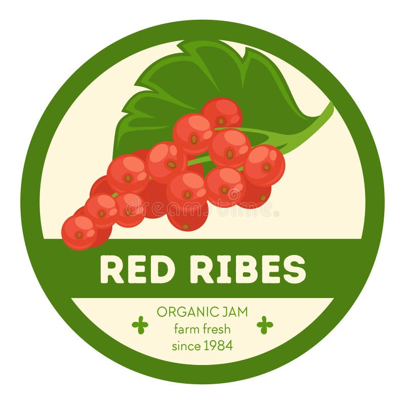 Natural and organic dessert and sweet addition to dishes and meals, component of breakfast. Red ribes farm fresh jam. Product label or logotype, sticker or emblem for package. Vector in flat style. Natural and organic dessert and sweet addition to dishes and meals, component of breakfast. Red ribes farm fresh jam. Product label or logotype, sticker or emblem for package. Vector in flat style