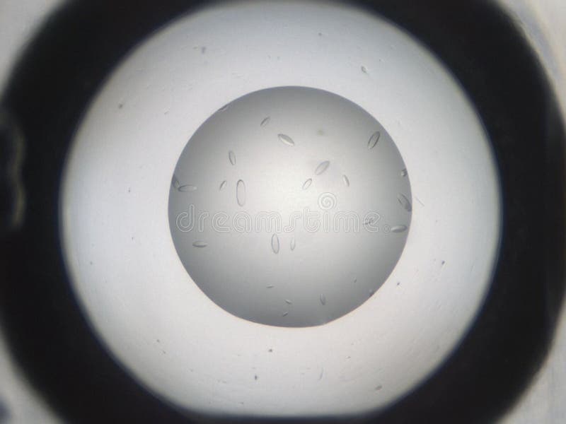 Ribosomeskristaller arkivbilder Ribosomeskristaller arkivbilder