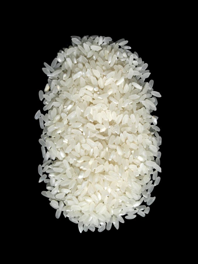 Rice