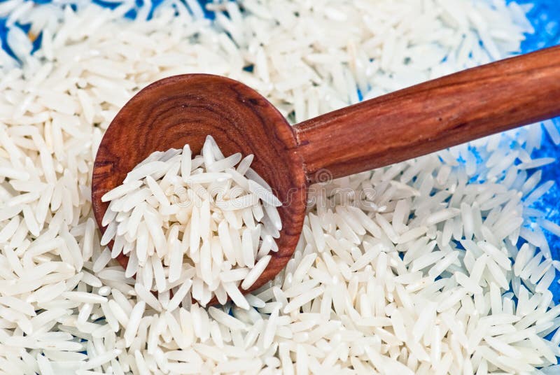 Rice royaltyfri fotografi