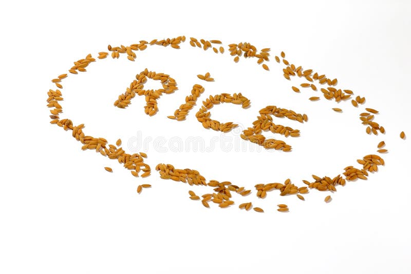 Rice