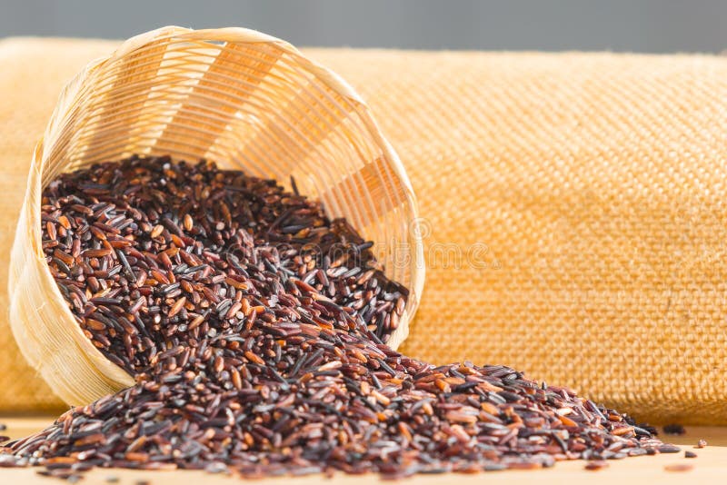 Rice berry stock photo. Image of cooking, asian, rice 70356036