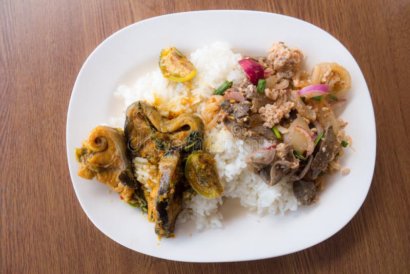 Rice catfish pork stock photo. Image of asia, catfish 98259698