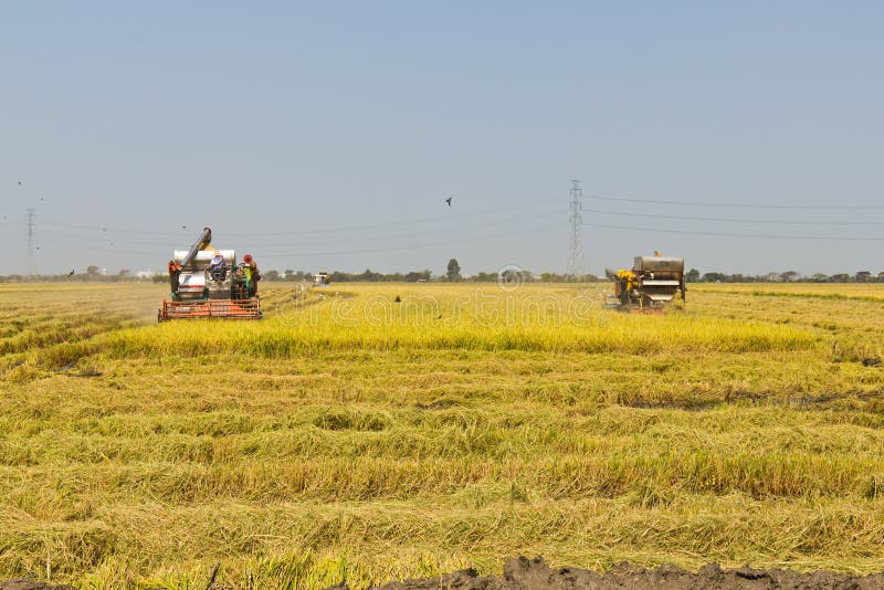 Rice combine harvester stock image. Image of harvest 23468195