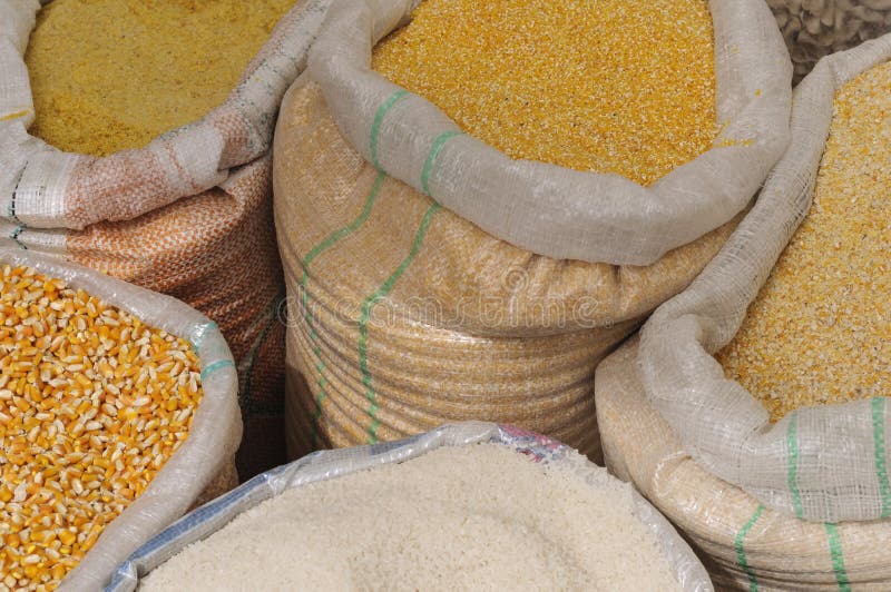 Rice and corn in sacks stock photo. Image of corn, eating 129672328