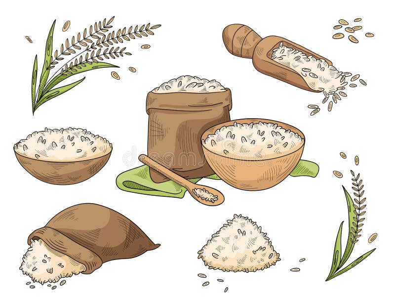 715 Rice Cartoon Stock Photos - Free & Royalty-Free Stock Photos from Dreamstime 715 Rice Cartoon Stock Photos - Free & Royalty-Free Stock Photos from Dreamstime