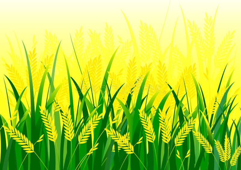 Rice Field Stock Illustrations – 14,101 Rice Field Stock Illustrations, Vectors & Clipart - Dreamstime Rice Field Stock Illustrations – 14,101 Rice Field Stock Illustrations, Vectors & Clipart - Dreamstime