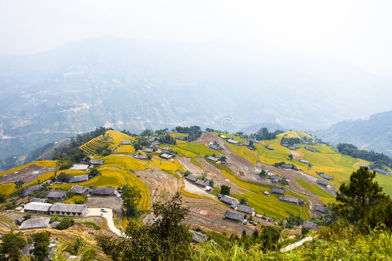 Rice fields on terraced. Fields are prepared for planting rice. Ban Phung. Ha Giang. Huyen Hoang Su Phi. Northern Vietnam