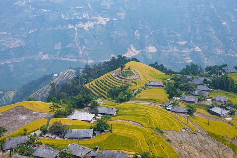 Rice fields on terraced. Fields are prepared for planting rice. Ban Phung. Ha Giang. Huyen Hoang Su Phi. Northern Vietnam