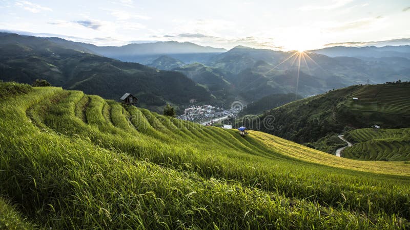 Rice fields on terraced of Vietnam stock image Rice fields on terraced of Vietnam stock image