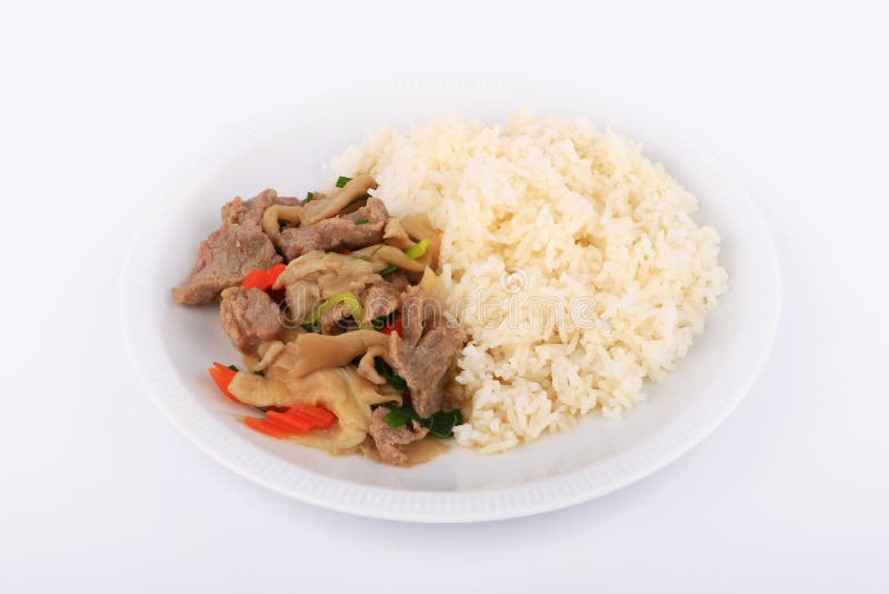 Rice and Fried Beef with Oyster Sauce on White Dish, Isolated Stock