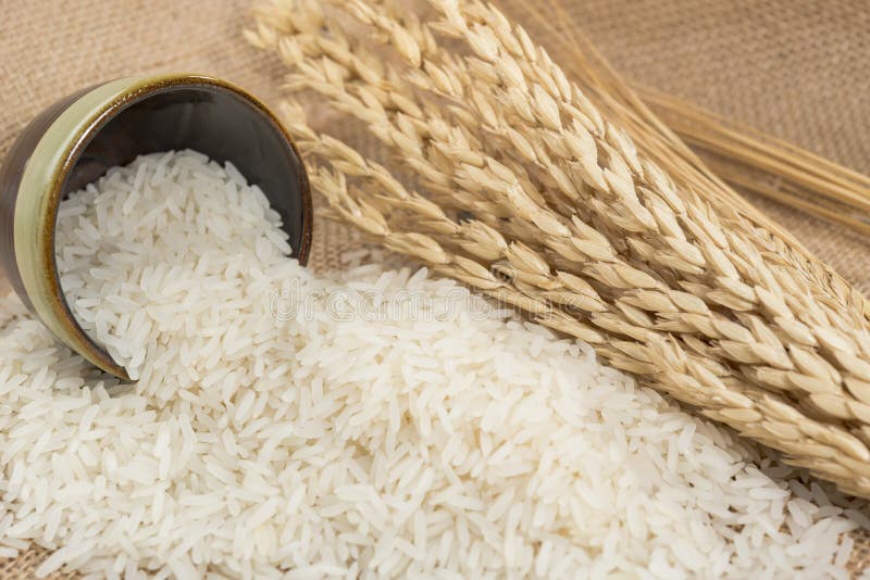 Rice grain in bowl on table.