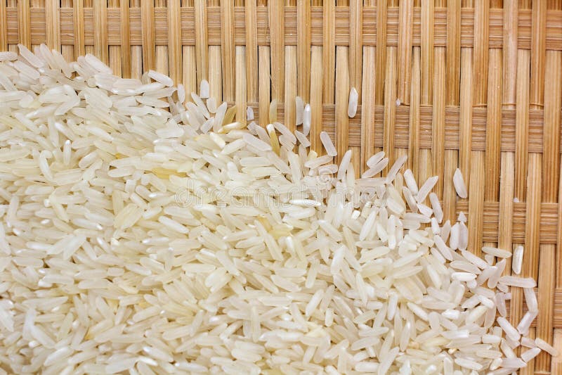 Rice grain stock photo. Image of grain, grass, farmland 34273868