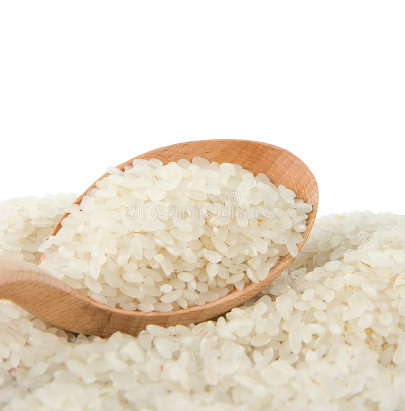 Rice grain in spoon