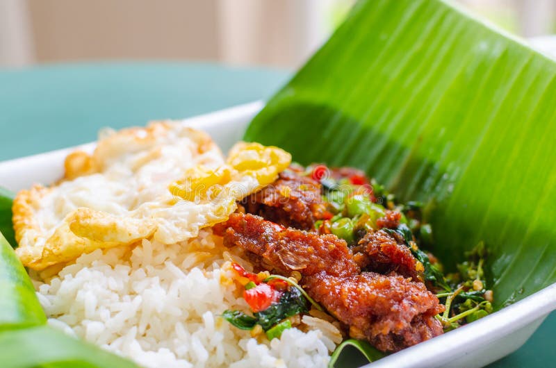 Rice nakrywał z smażącą wieprzowiną, basilów liśćmi i chili słuzyć zdjęcia stock