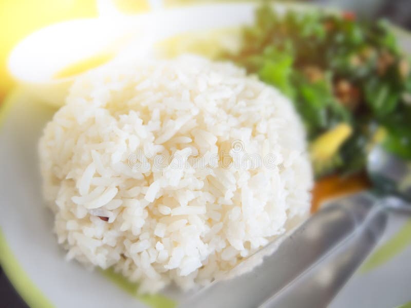 Rice with pork and basil stock photo. Image of fresh 79596318