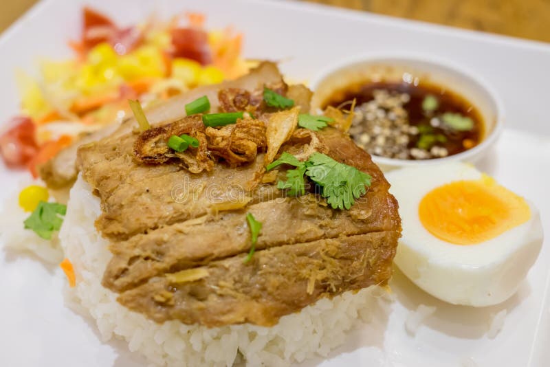 Rice with roast pork stock photo. Image of food, rice 81126892