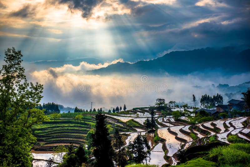 La luce del sole caduta era splendente di terrazze di riso, dopo la pioggia, che in un paesino di montagna.