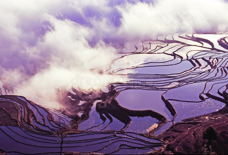 Staré rýžové terasy yuanyang, yunnan, čína.