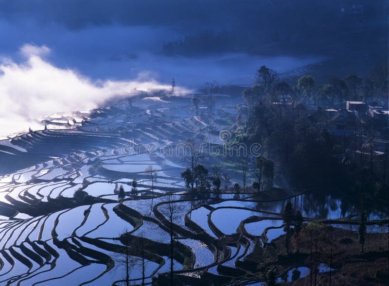 Rice terraces of yuanyang