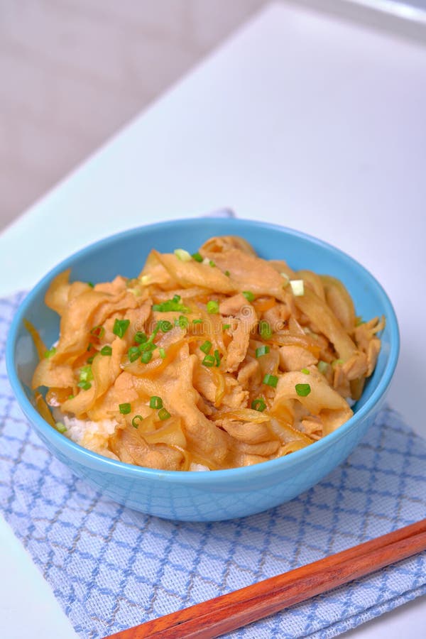 Rice Topped with Pork or Pork Stew, Japanese Food Stock Image - Image