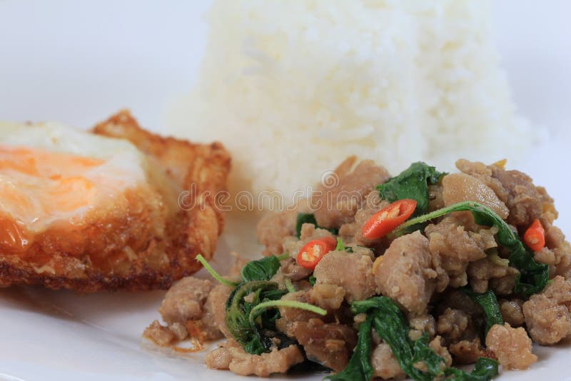 Rice Topped with Stirfried Minced Pork and Basil Stock Photo Image of plate, asian 103512686