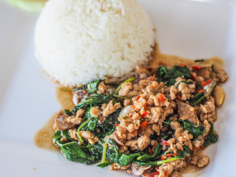 Rice Topped with Stirfried Pork and Basil ,selective Focus Stock Image