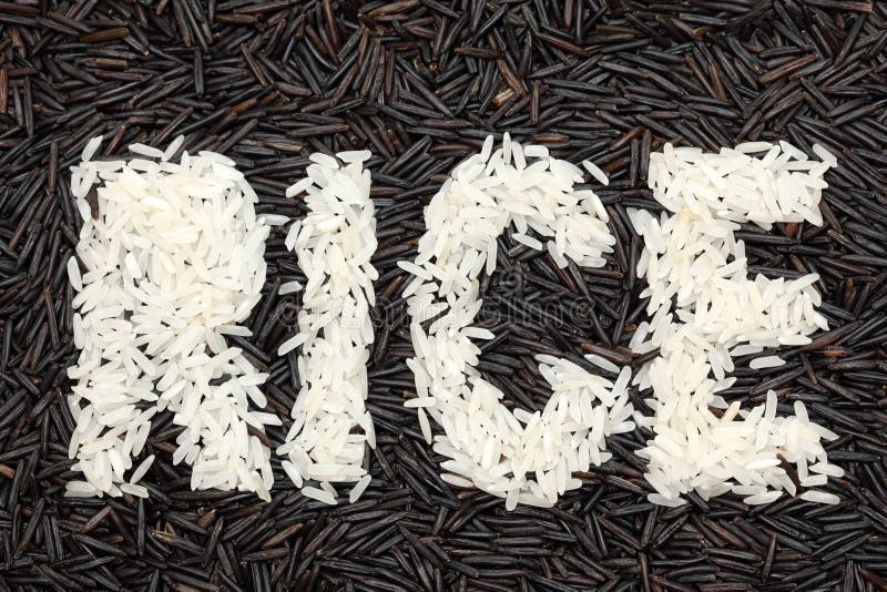 Rice stock photo Rice stock photo