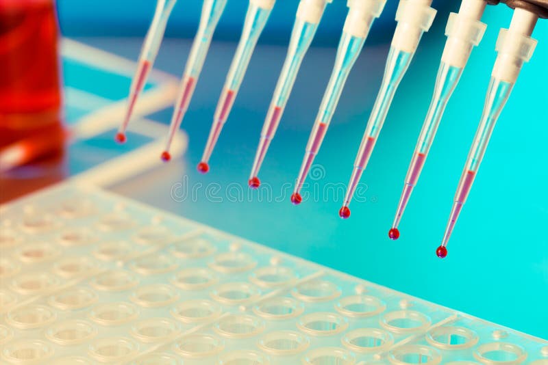 Ricerca del DNA fotografie stock libere da diritti Ricerca del DNA fotografie stock libere da diritti